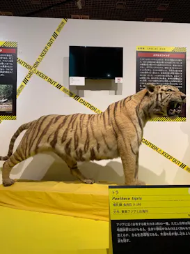 特別展「超危険生物展　科学で挑む生き物の本気」に投稿された画像（2026/6/7）