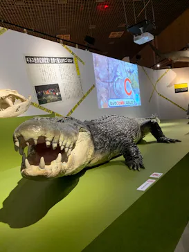 特別展「超危険生物展　科学で挑む生き物の本気」に投稿された画像（2026/6/7）