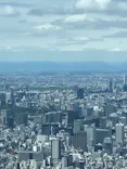 東京スカイツリーに投稿された画像（2026/6/7）