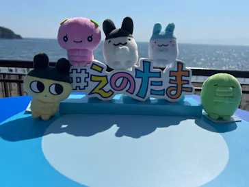 新江ノ島水族館に投稿された画像（2026/6/7）