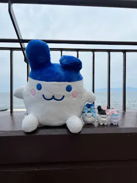 新江ノ島水族館に投稿された画像（2026/6/7）
