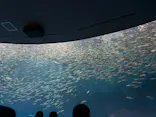 名古屋港水族館に投稿された画像（2026/6/8）