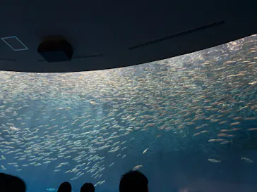 名古屋港水族館に投稿された画像（2026/6/7）
