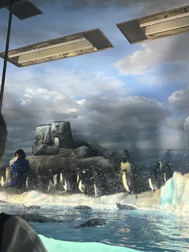 名古屋港水族館に投稿された画像（2026/6/7）