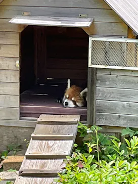 千葉市動物公園に投稿された画像（2026/6/7）