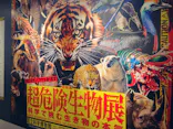 特別展「超危険生物展　科学で挑む生き物の本気」に投稿された画像（2026/6/8）