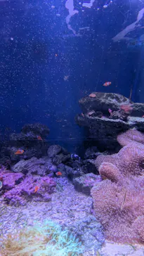新江ノ島水族館に投稿された画像（2026/6/8）