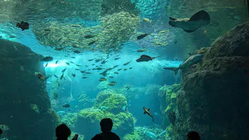 新江ノ島水族館に投稿された画像（2026/6/8）