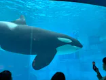 名古屋港水族館に投稿された画像（2026/6/8）
