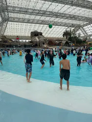 東京サマーランドに投稿された画像（2026/6/8）
