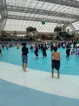 東京サマーランドに投稿された画像（2026/6/8）