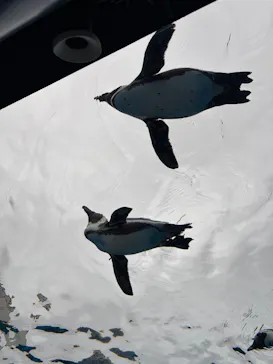 サンシャイン水族館に投稿された画像（2026/6/8）