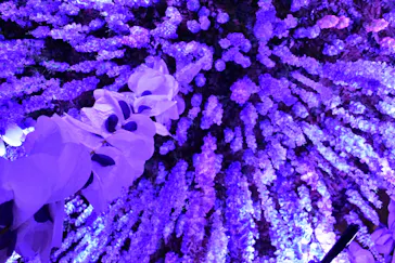 動き出す妖怪展 TOKYO 〜Imagination of Japan〜に投稿された画像（2026/6/8）