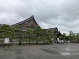 元離宮二条城に投稿された画像（2026/6/8）