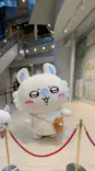 ちいかわパークに投稿された画像（2026/6/8）