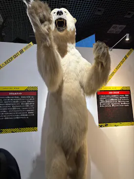 特別展「超危険生物展　科学で挑む生き物の本気」に投稿された画像（2026/6/8）
