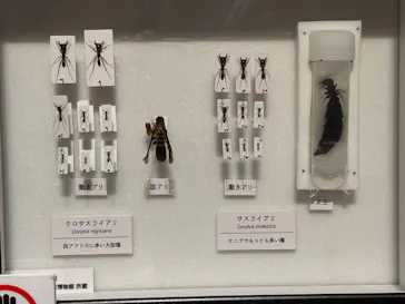 特別展「超危険生物展　科学で挑む生き物の本気」に投稿された画像（2026/6/8）
