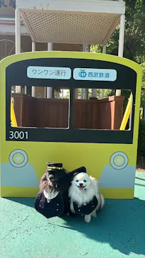 西武園ゆうえんちに投稿された画像（2026/6/8）