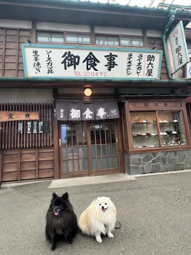 西武園ゆうえんちに投稿された画像（2026/6/8）