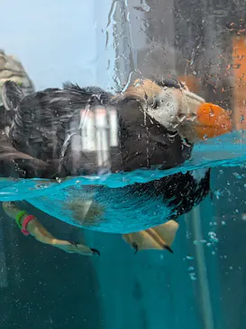アクアワールド茨城県大洗水族館に投稿された画像（2026/6/8）
