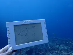 SeaJack divefamily （シージャック）に投稿された画像（2026/6/8）