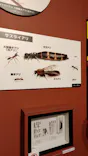 特別展「超危険生物展　科学で挑む生き物の本気」に投稿された画像（2026/6/8）