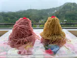ぎふワールド・ローズガーデンに投稿された画像（2026/6/8）