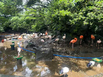 伊豆シャボテン動物公園に投稿された画像（2026/6/8）