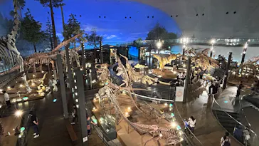 福井県立恐竜博物館に投稿された画像（2026/6/8）
