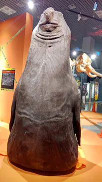 特別展「超危険生物展　科学で挑む生き物の本気」に投稿された画像（2026/6/8）