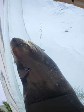 サンシャイン水族館に投稿された画像（2026/6/8）