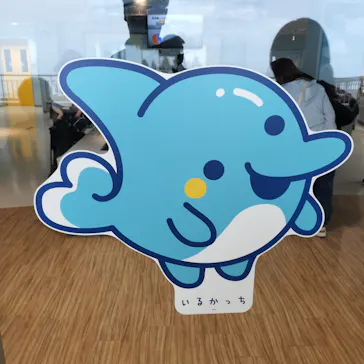 新江ノ島水族館に投稿された画像（2026/6/8）