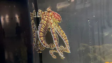竹島水族館に投稿された画像（2026/6/9）