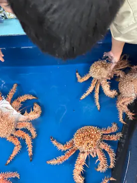 竹島水族館に投稿された画像（2026/6/9）