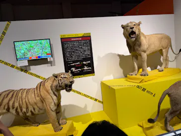 特別展「超危険生物展　科学で挑む生き物の本気」に投稿された画像（2026/6/9）