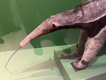 特別展「超危険生物展　科学で挑む生き物の本気」に投稿された画像（2026/6/9）
