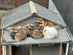 しろとり動物園に投稿された画像（2026/6/9）
