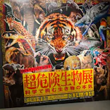 特別展「超危険生物展　科学で挑む生き物の本気」に投稿された画像（2026/6/9）