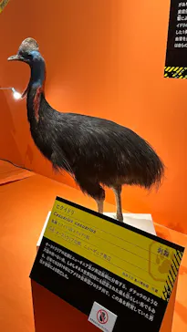 特別展「超危険生物展　科学で挑む生き物の本気」に投稿された画像（2026/6/9）