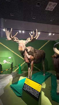 特別展「超危険生物展　科学で挑む生き物の本気」に投稿された画像（2026/6/9）