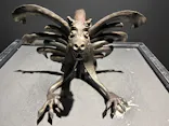 NAKED meets ガウディ展【大阪】に投稿された画像（2026/6/9）