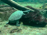 名古屋港水族館に投稿された画像（2026/6/9）