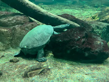 名古屋港水族館に投稿された画像（2026/6/9）