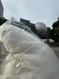 大絶滅展ー生命史のビッグファイブ（名古屋会場）に投稿された画像（2026/6/9）