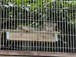 名古屋市東山動植物園に投稿された画像（2026/6/9）