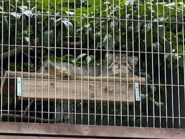 名古屋市東山動植物園に投稿された画像（2026/6/9）