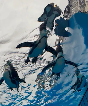 サンシャイン水族館に投稿された画像（2026/6/9）