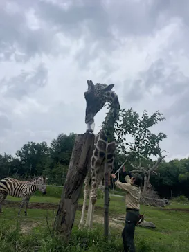 天王寺動物園に投稿された画像（2026/6/9）