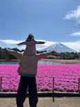富士芝桜まつり(富士本栖湖リゾート)に投稿された画像（2026/6/9）