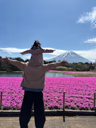 富士芝桜まつり(富士本栖湖リゾート)に投稿された画像（2026/6/9）